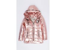    -31104-15 2460      36 -