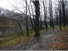DSCN6850.JPG
