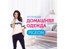 PIGEON -   