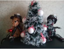 IMG 20171231 122249.jpg