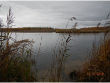 DSCN6470.JPG