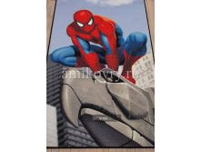  Disney Spider-Man D3SM001-blue.png