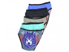 ДЕТСКИЕ ТРУСЫ COOL KID W5008 19,35руб