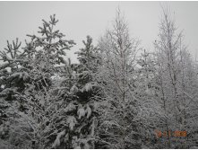 DSCN7598.JPG
