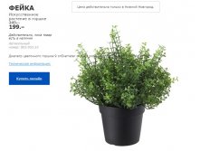 ФЕЙКА ИСКУСТВЕННОЕ РАСТЕНИЕ В ГОРШКЕ 80395333.jpg