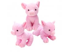 Fluffy Family 681534   16,  . 1 - 266,04 