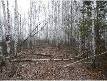 DSCN7150.JPG