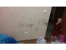 220699647-20170916 193822.jpg