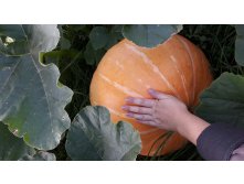 20180915 123527.jpg