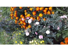 20180915 124006.jpg