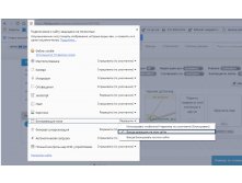  Google Chrome
