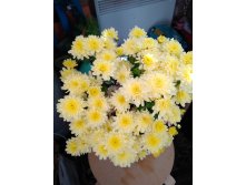 IMG 20180924 111319.jpg