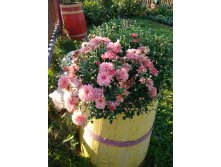 IMG 20180908 074338.jpg
