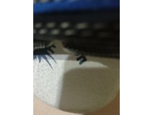 IMG 20190227 205905 1.jpg