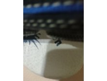 IMG 20190227 205905.jpg