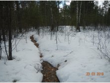 DSCN8536.JPG