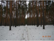 DSCN8400.JPG