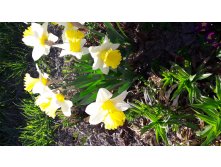 20180513 170023.jpg