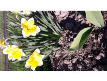 20180513 170111.jpg