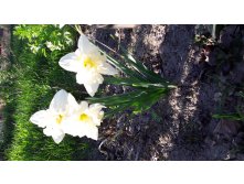 20180513 170104.jpg