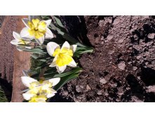 20180513 165850.jpg