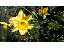 20180513 170042.jpg