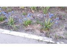 20180510 181503.jpg