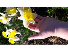 20180513 170008.jpg