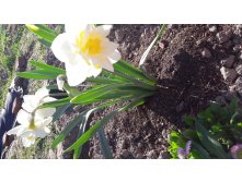 20180513 165932.jpg