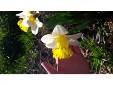 20180513 170017.jpg
