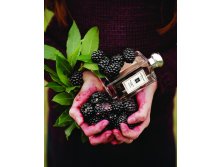 Jo Malone London Blackberry & Bay 100