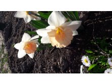 20180513 165912.jpg
