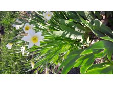 20180513 170047.jpg