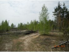 DSCN9612.JPG