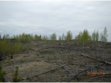 DSCN9551.JPG