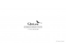 49. Qtti.ru - 