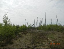 DSCN9624.JPG
