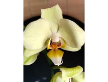 IMG 20190501 135212 HDR.jpg