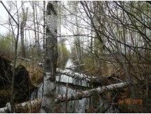 DSCN9528.JPG