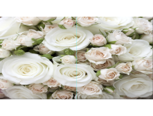10915 300-160 (1 ВАР).png