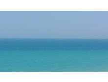 IMG 20190731 115458.jpg