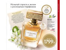 2019011-015-ru-RU.jpg
