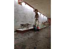 IMG 20190817 113317.jpg