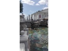 IMG 20190729 115238.jpg