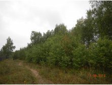 DSCN1187.JPG
