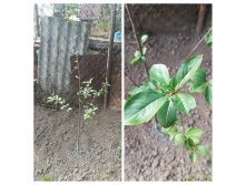 20190912 184004-COLLAGE.jpg