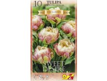 37320, 10 Tulipa Sweet Desire-1, 370.jpg