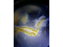 IMG 20191007 191605.jpg