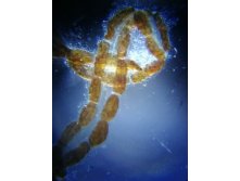 IMG 20191007 172408.jpg