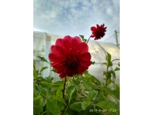 IMG 20190829 170654 HDR.jpg